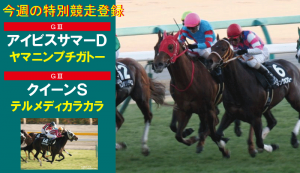 今週の特別競走登録・ヤマニンプチガトーとテルメディカラカラ