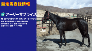 競走馬登録・アーリーサプライズ