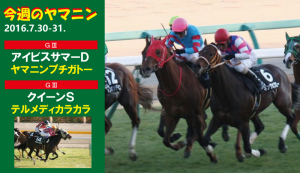 今週のヤマニン・ヤマニンプチガトーとテルメディカラカラ