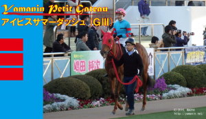 アイビスサマーダッシュ(G3)・ヤマニンプチガトー