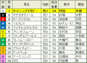 アイビスサマーダッシュ(G3)枠順