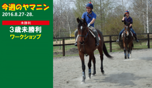 今週のヤマニン・ワークショップ