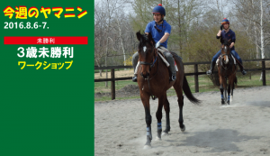 今週のヤマニン・ワークショップ