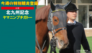 今週の特別競走登録･ヤマニンプチガトー