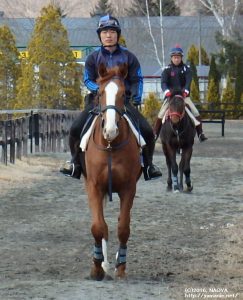 育成時代のヤマニンフルアウト