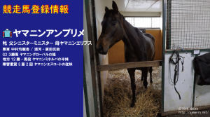 競走馬登録・ヤマニンアンプリメ