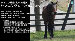 悲報･ヤマニングローバル