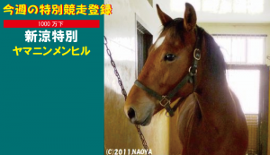 今週の特別競走登録･ヤマニンメンヒル