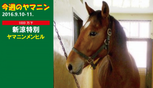 今週のヤマニン・ヤマニンメンヒル