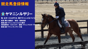 競走馬登録・ヤマニンルサリー