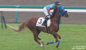 ヤマニンリュウセイと野中騎手