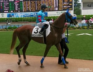 ヤマニンリュウセイと野中騎手