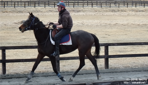 育成時代のヤマニンアンプリメと山本さん