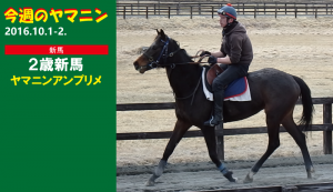 今週のヤマニン・ヤマニンアンプリメ