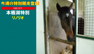 今週の特別競走登録･リノリオ