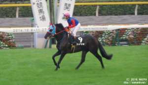 本栖湖特別のリノリオと丸田騎手