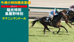 今週の特別競走登録・ヤマニンマンドール