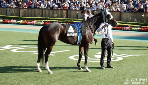 白秋Sのテルメディカラカラ