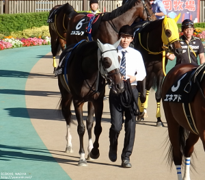 白秋Sのテルメディカラカラ