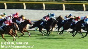 白秋Sのテルメディカラカラ