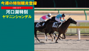 今週の特別競走登録・ヤマニンシャンデル