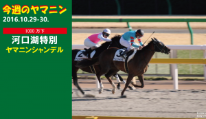 今週のヤマニン･ヤマニンシャンデル