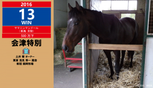 2016年13勝目・ヤマニンマンドール