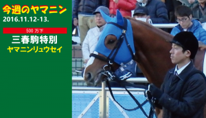 今週のヤマニン・ヤマニンリュウセイ