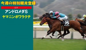 今週の特別競走登録・ヤマニンボワラクテ