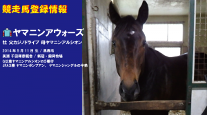 競走馬登録・ヤマニンアウォーズ