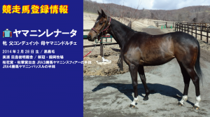 競走馬登録・ヤマニンレナータ