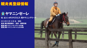 競走馬登録・ヤマニンゼーレ
