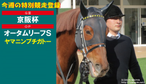 今週の特別競走登録・ヤマニンプチガトー