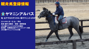 競走馬登録・ヤマニンアルバス