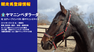 競走馬登録・ヤマニンペダラーダ