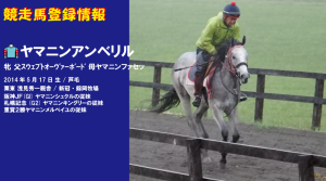 競走馬登録・ヤマニンアンベリル