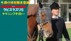 今週の特別競走登録・ヤマニンプチガトー
