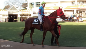 ラピスラズリS・ヤマニンプチガトーと村田騎手