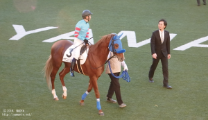 ヤマニンリュウセイと北村宏騎手