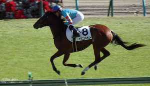 本馬場入場のヤマニンルサリー