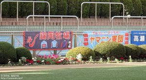 ディセンバーS・応援幕