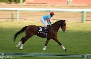 ディセンバーS・ヤマニンボワラクテ