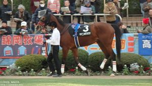 ディセンバーS・ヤマニンボワラクテ