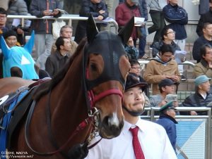 ディセンバーS・ヤマニンボワラクテ