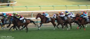 ディセンバーS・ヤマニンボワラクテ