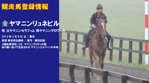 競走馬登録･ヤマニンリュネブル
