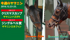 今週のヤマニン・バステト・エルフィン
