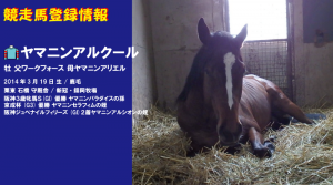 競走馬登録・ヤマニンアルクール