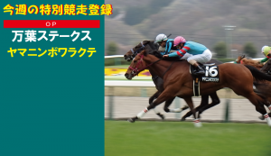 今週の特別競走登録・ヤマニンボワラクテ