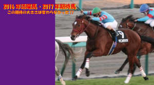2016年活躍馬・2017年期待馬